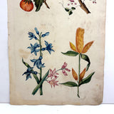 Lush and Lovely c. 1750 Four Vignette Dutch Watercolor on Watermarked Wove