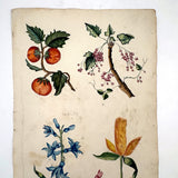 Lush and Lovely c. 1750 Four Vignette Dutch Watercolor on Watermarked Wove