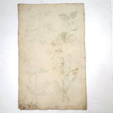 Lush and Lovely c. 1750 Four Vignette Dutch Watercolor on Watermarked Wove