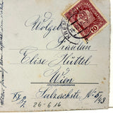 Birds and Berries and Bee, 1916-17 Austrian Ink and Watercolor Hand-drawn Postcard