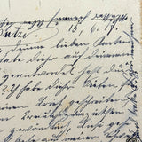 Birds and Berries and Bee, 1916-17 Austrian Ink and Watercolor Hand-drawn Postcard