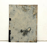 Striking, Painterly, Super Crisp Ninth Plate Tintype of Young Woman with Hat