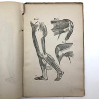 Rare 1883 American News Co. How to Draw and Paint, with Wonderful Plates--and Interventions!