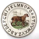 The Dog, c. 1880 Staffordshire Hand-colored Transferware Alphabet Plate