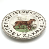 The Dog, c. 1880 Staffordshire Hand-colored Transferware Alphabet Plate
