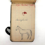 Portrait of the Artist as a Young Man, Nick Steagner's Tender 1900 Notebook/Sketchpad, Wayne County, PA