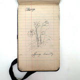 Portrait of the Artist as a Young Man, Nick Steagner's Tender 1900 Notebook/Sketchpad, Wayne County, PA