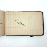 Portrait of the Artist as a Young Man, Nick Steagner's Tender 1900 Notebook/Sketchpad, Wayne County, PA