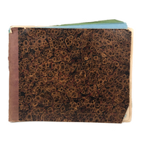Lucy Jones' Mid 19th C. Sketchbooks (2) Filled with Graphite Drawings