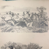 Lucy Jones' Mid 19th C. Sketchbooks (2) Filled with Graphite Drawings