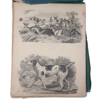 Lucy Jones' Mid 19th C. Sketchbooks (2) Filled with Graphite Drawings
