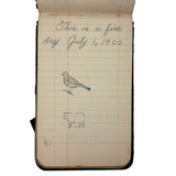Portrait of the Artist as a Young Man, Nick Steagner's Tender 1900 Notebook/Sketchpad, Wayne County, PA