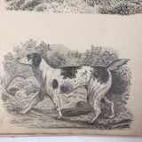 Lucy Jones' Mid 19th C. Sketchbooks (2) Filled with Graphite Drawings