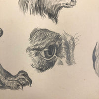 Lucy Jones' Mid 19th C. Sketchbooks (2) Filled with Graphite Drawings