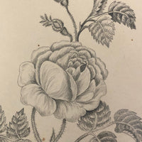 Lucy Jones' Mid 19th C. Sketchbooks (2) Filled with Graphite Drawings