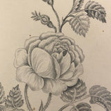 Lucy Jones' Mid 19th C. Sketchbooks (2) Filled with Graphite Drawings