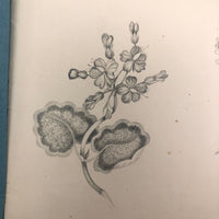Lucy Jones' Mid 19th C. Sketchbooks (2) Filled with Graphite Drawings