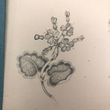Lucy Jones' Mid 19th C. Sketchbooks (2) Filled with Graphite Drawings