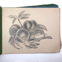Lucy Jones' Mid 19th C. Sketchbooks (2) Filled with Graphite Drawings