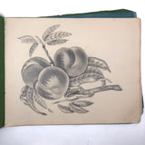 Lucy Jones' Mid 19th C. Sketchbooks (2) Filled with Graphite Drawings