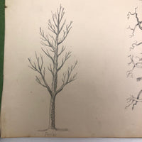Lucy Jones' Mid 19th C. Sketchbooks (2) Filled with Graphite Drawings
