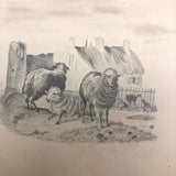 Lucy Jones' Mid 19th C. Sketchbooks (2) Filled with Graphite Drawings