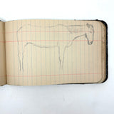 Portrait of the Artist as a Young Man, Nick Steagner's Tender 1900 Notebook/Sketchpad, Wayne County, PA