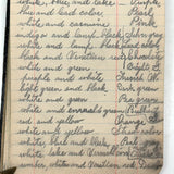 Portrait of the Artist as a Young Man, Nick Steagner's Tender 1900 Notebook/Sketchpad, Wayne County, PA