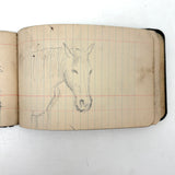 Portrait of the Artist as a Young Man, Nick Steagner's Tender 1900 Notebook/Sketchpad, Wayne County, PA