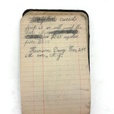 Portrait of the Artist as a Young Man, Nick Steagner's Tender 1900 Notebook/Sketchpad, Wayne County, PA
