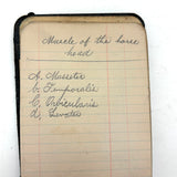 Portrait of the Artist as a Young Man, Nick Steagner's Tender 1900 Notebook/Sketchpad, Wayne County, PA