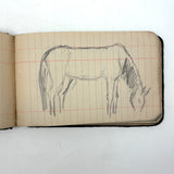 Portrait of the Artist as a Young Man, Nick Steagner's Tender 1900 Notebook/Sketchpad, Wayne County, PA
