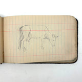 Portrait of the Artist as a Young Man, Nick Steagner's Tender 1900 Notebook/Sketchpad, Wayne County, PA