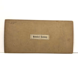 Early British Stereoview View: Botanical Anatomy