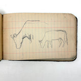 Portrait of the Artist as a Young Man, Nick Steagner's Tender 1900 Notebook/Sketchpad, Wayne County, PA