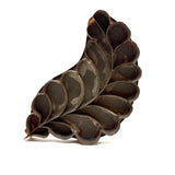 Striking and Uncommon Antique Soldered Tin Leaf Cutter (Presumed for Making Glass Domed Wax Flowers)