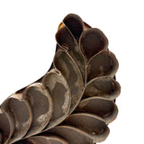 Striking and Uncommon Antique Soldered Tin Leaf Cutter (Presumed for Making Glass Domed Wax Flowers)