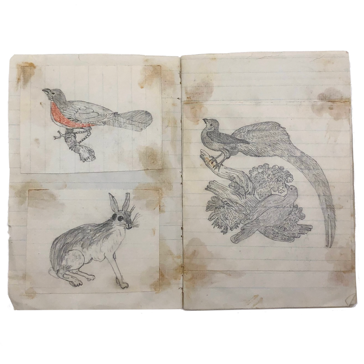 Very Sweet 19th C. Handmade Notebook with Lots of Animal Drawings ...