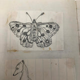 Very Sweet 19th C. Handmade Notebook with Lots of Animal Drawings