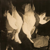 Dramatic Photo of Man at Work on Wings in Barn, with Hanging Geese and Flock of Sheep