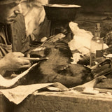 Dramatic Photo of Man at Work on Wings in Barn, with Hanging Geese and Flock of Sheep