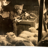 Dramatic Photo of Man at Work on Wings in Barn, with Hanging Geese and Flock of Sheep