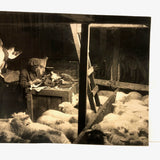 Dramatic Photo of Man at Work on Wings in Barn, with Hanging Geese and Flock of Sheep