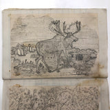 Very Sweet 19th C. Handmade Notebook with Lots of Animal Drawings