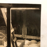 Dramatic Photo of Man at Work on Wings in Barn, with Hanging Geese and Flock of Sheep