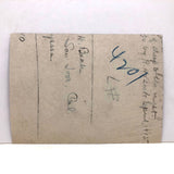 Dramatic Photo of Man at Work on Wings in Barn, with Hanging Geese and Flock of Sheep