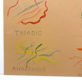 Monchromatic, Complementary, Triadic, Analogous, Deborah's  Mid Century Color Study
