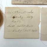 Sister Mary's Hair and More, Group of Five Victorian Hair Locks with Names