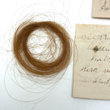 Sister Mary's Hair and More, Group of Five Victorian Hair Locks with Names