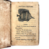 C. Mid 19th Century Natural History Catechism Book with Wonderful Hand-colored Engravings
